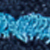Navy/blue