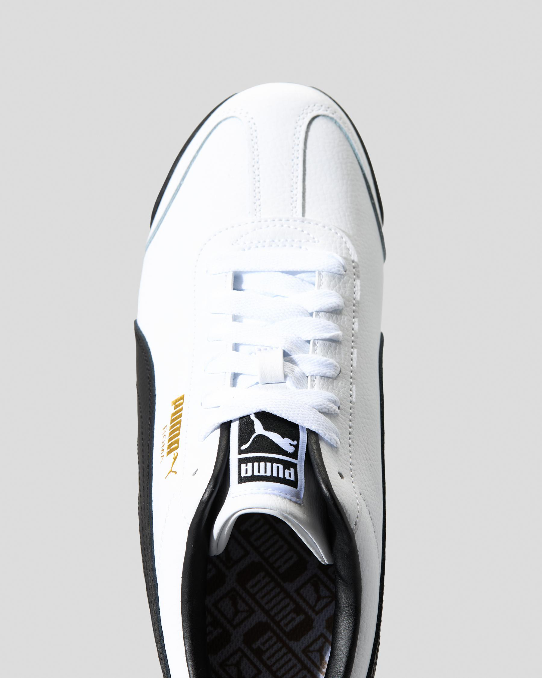 Roma 24 Standard Shoes