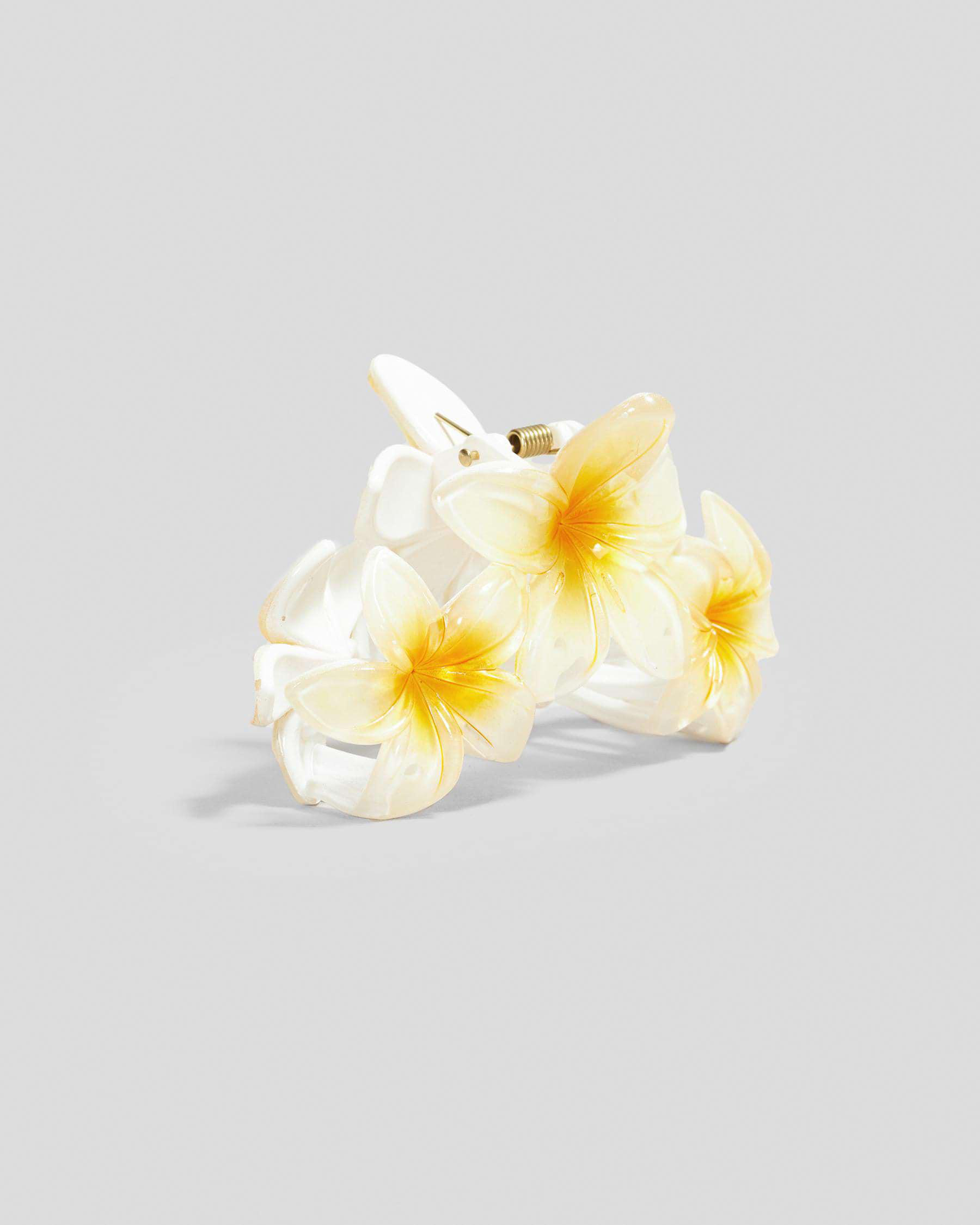 Summer Day Hair Claw Clip