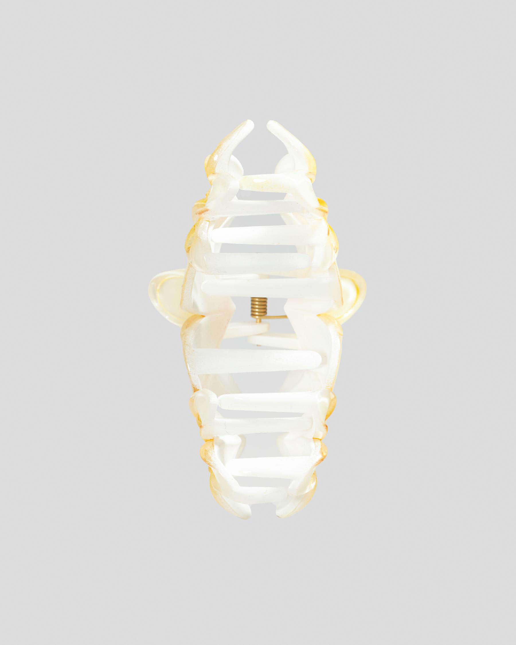 Summer Day Hair Claw Clip