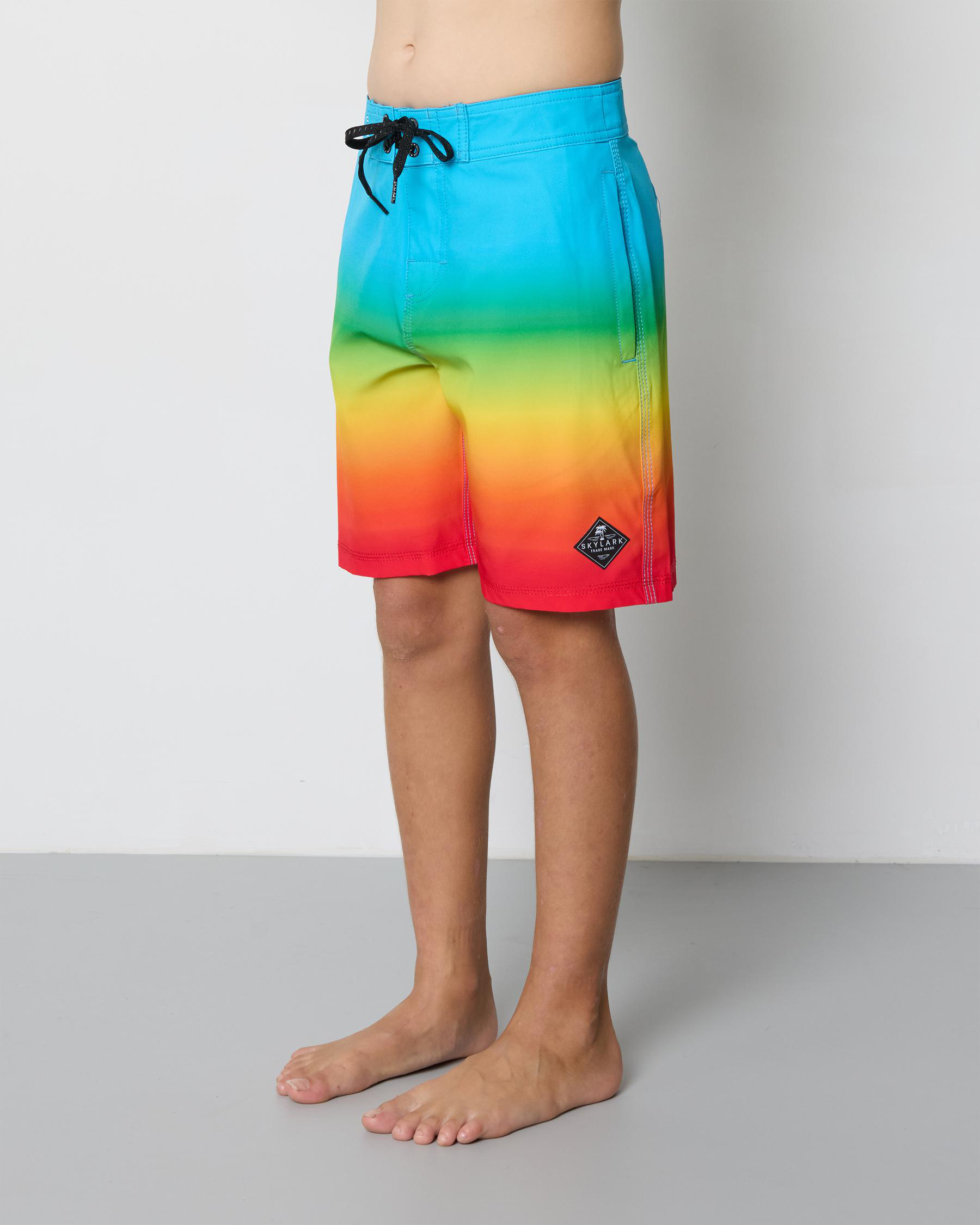 Colour Theory Board Shorts