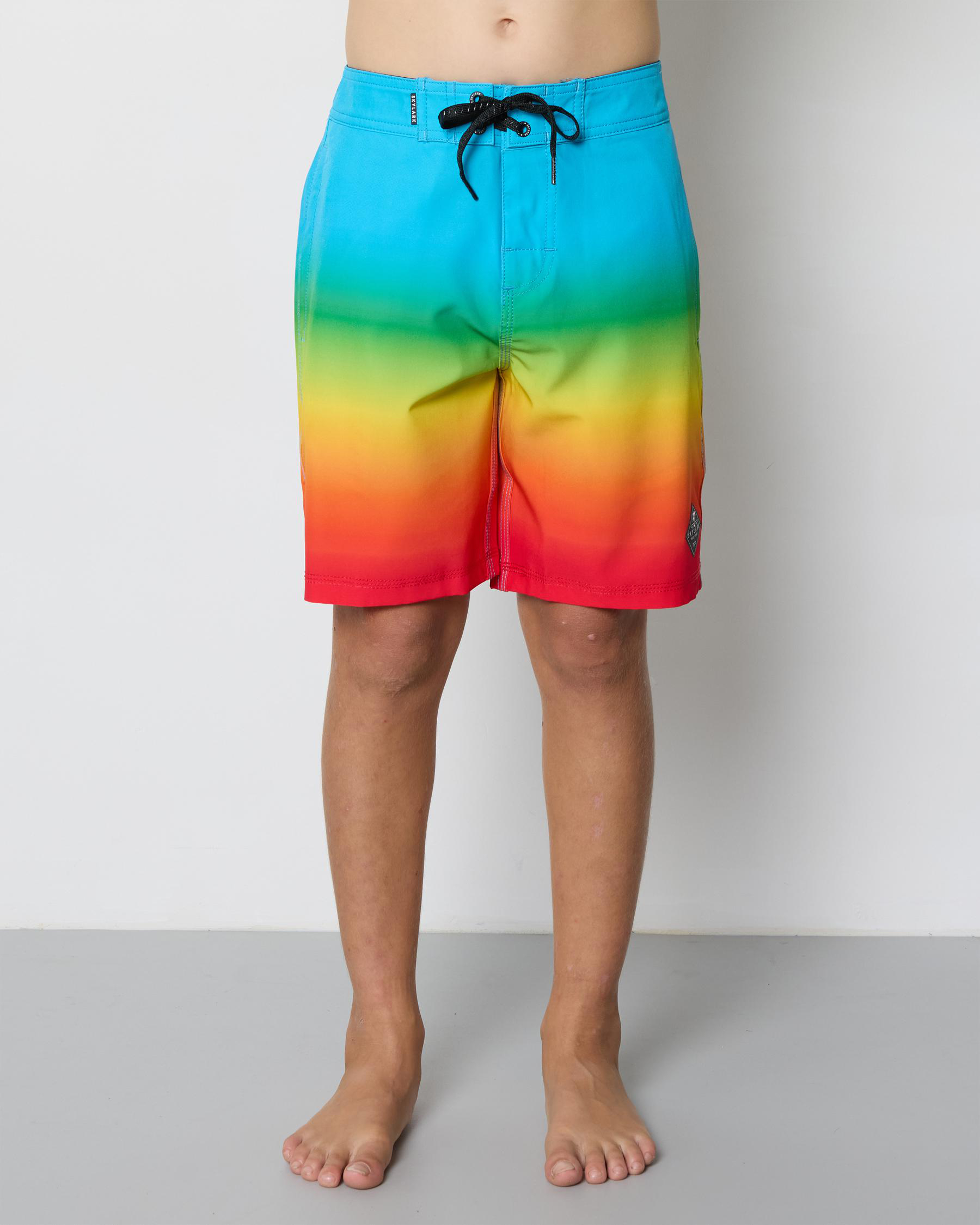 Colour Theory Board Shorts
