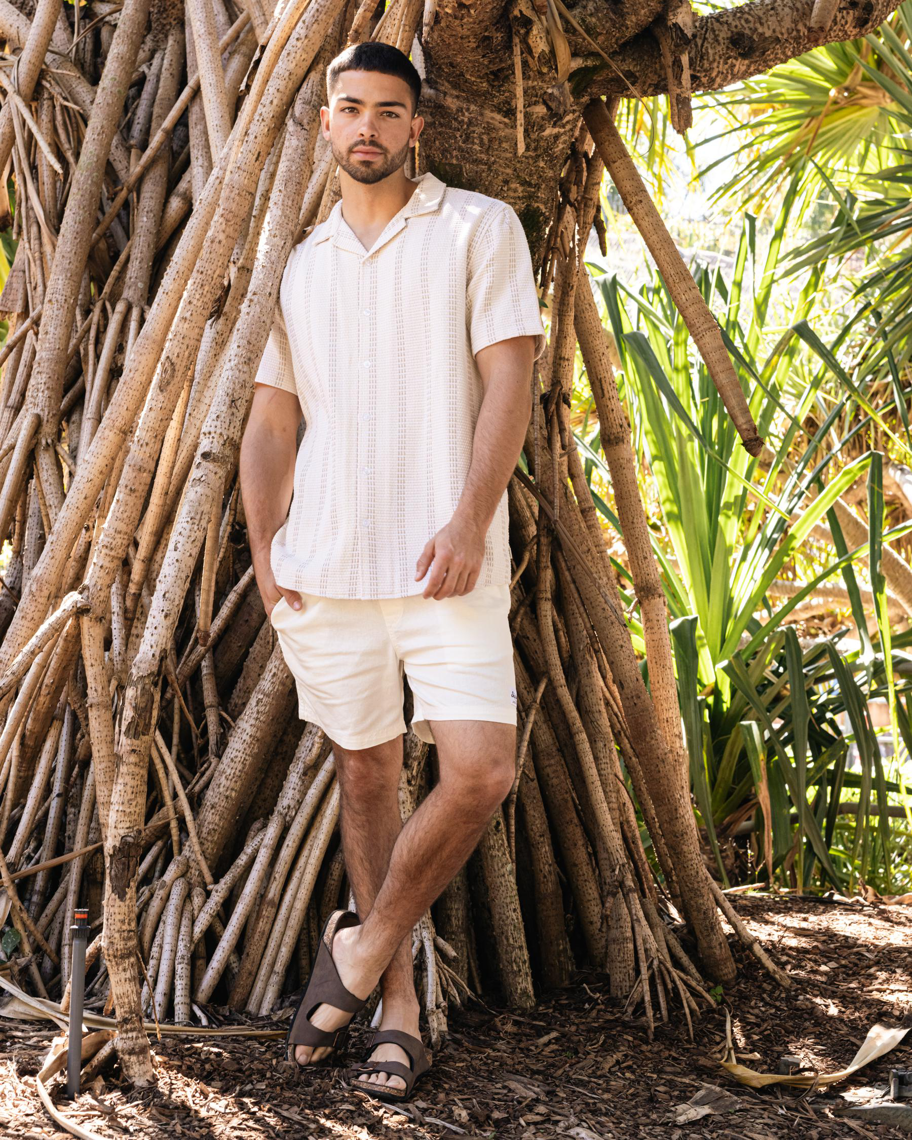 Swarm Elastic Waist Shorts