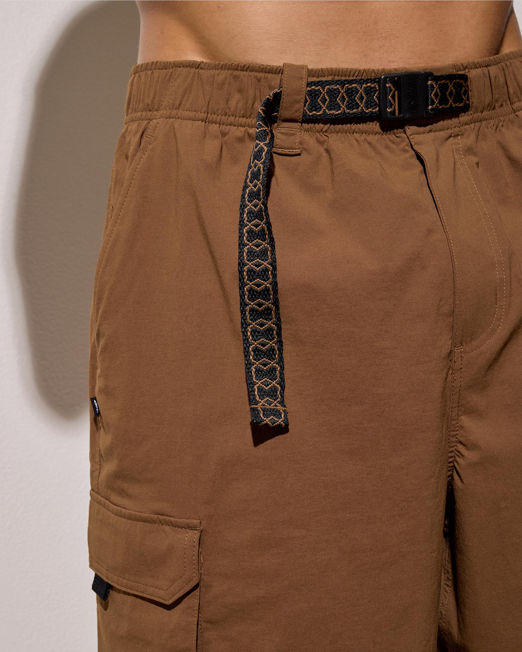 SB Kearny Cargo Shorts