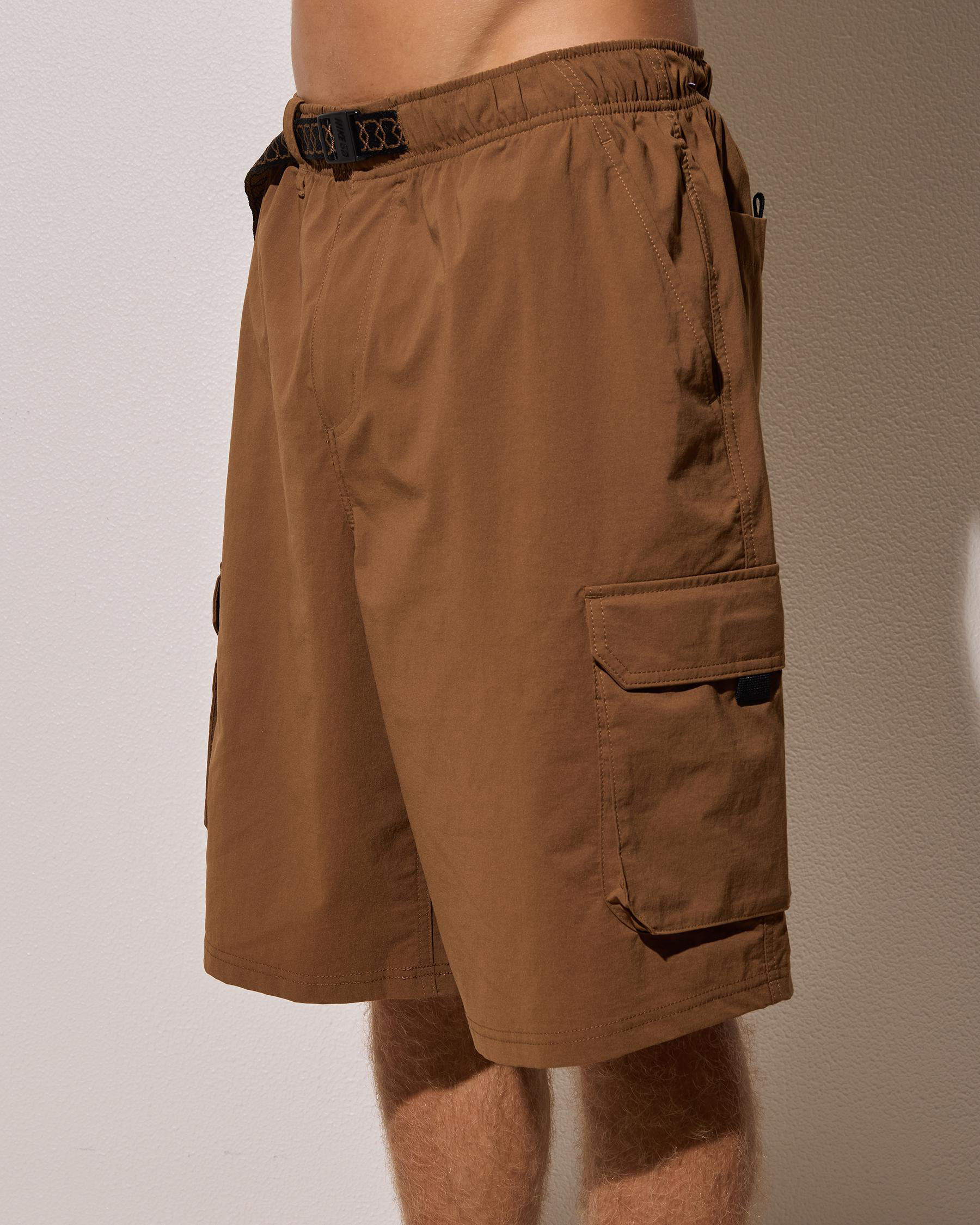 SB Kearny Cargo Shorts