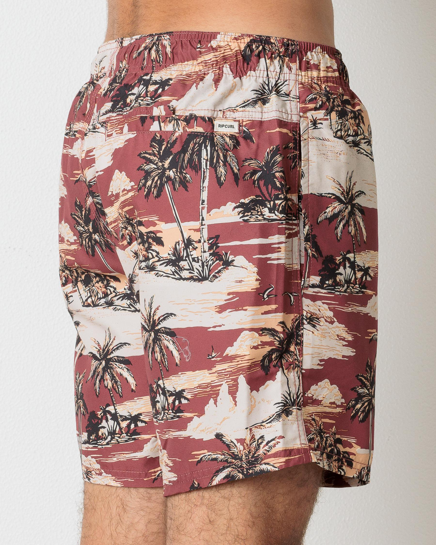 Dreamers Volley Shorts