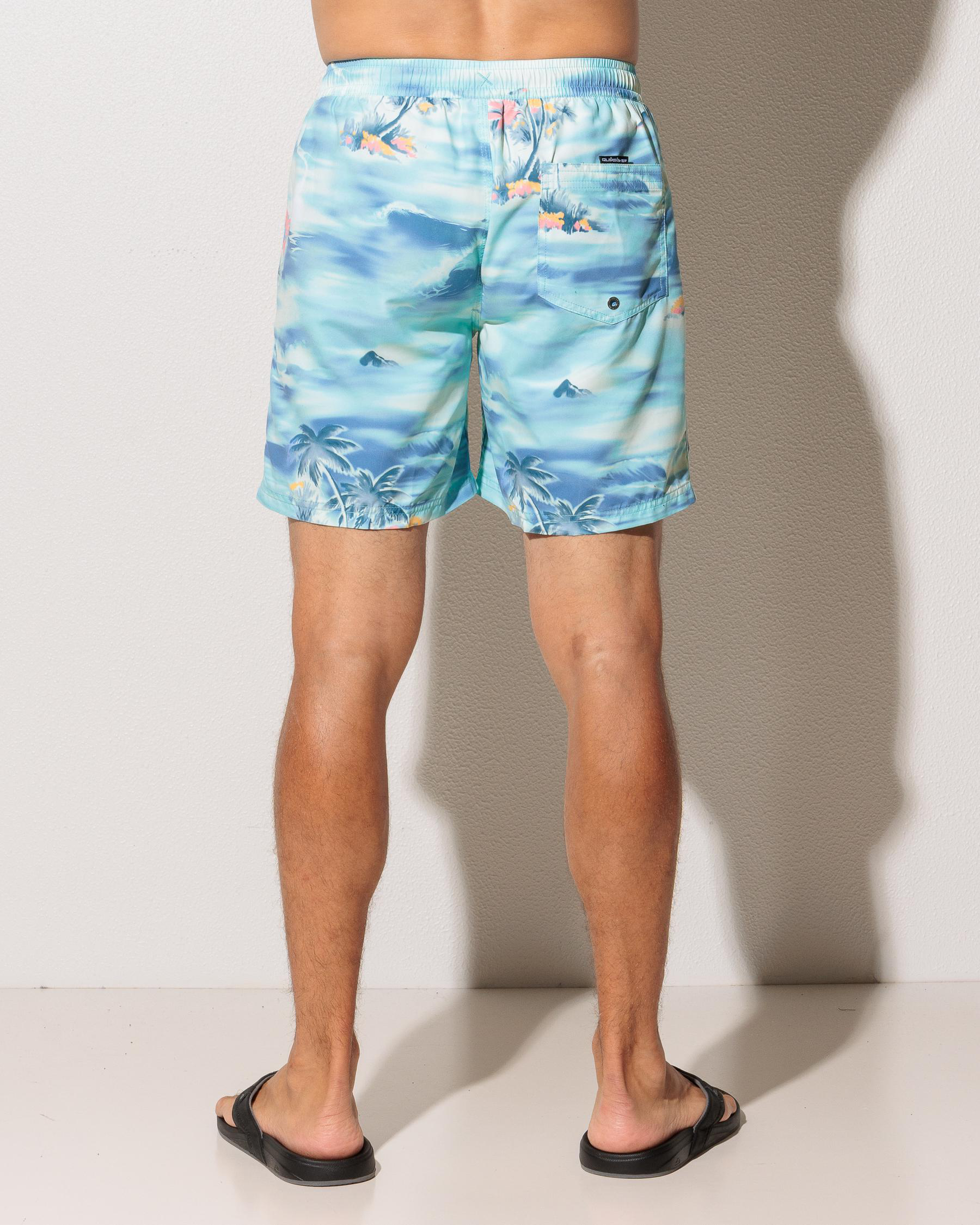 Everyday Straight Volley 17NB Board Shorts
