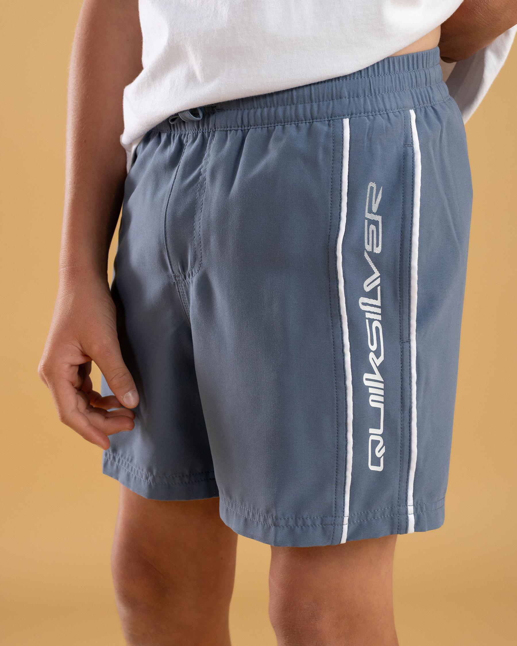 Everyday Vert Volley 14" Board Shorts