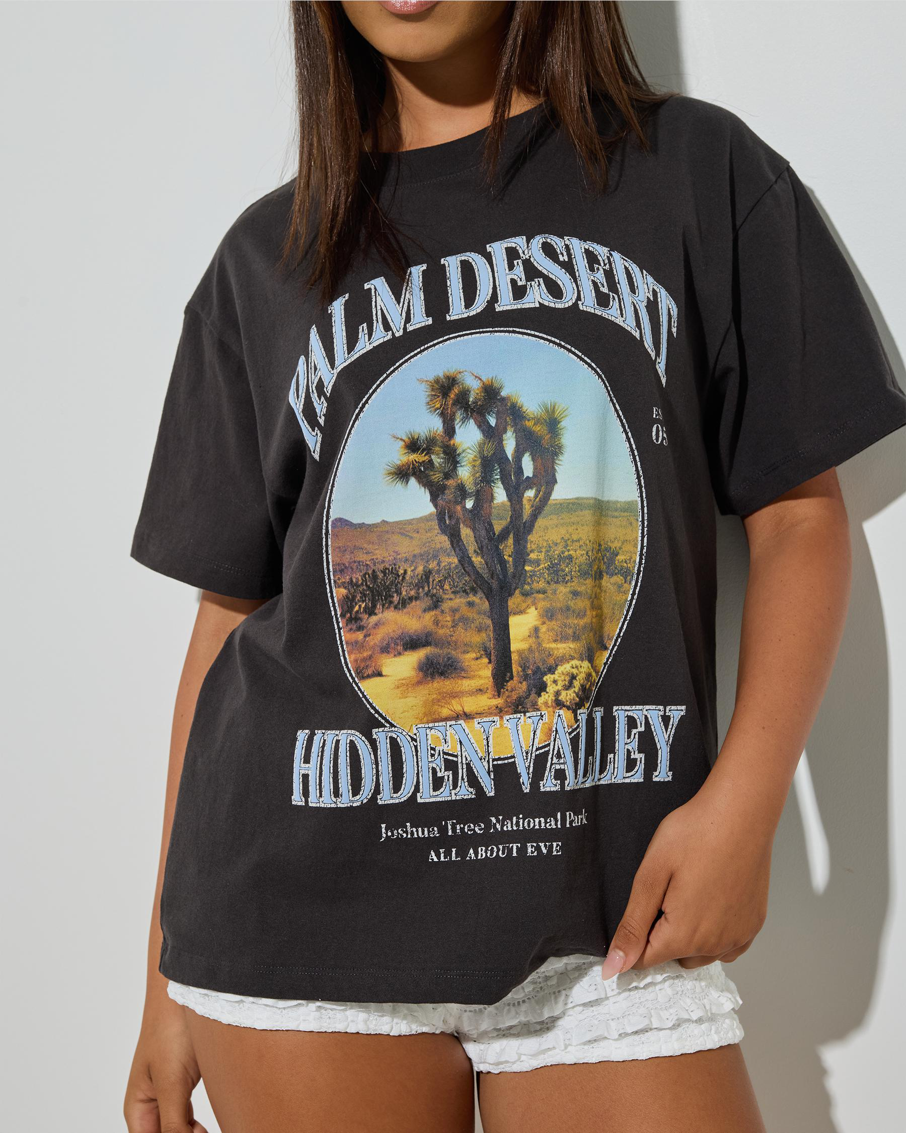 Palm Desert Box T-Shirt