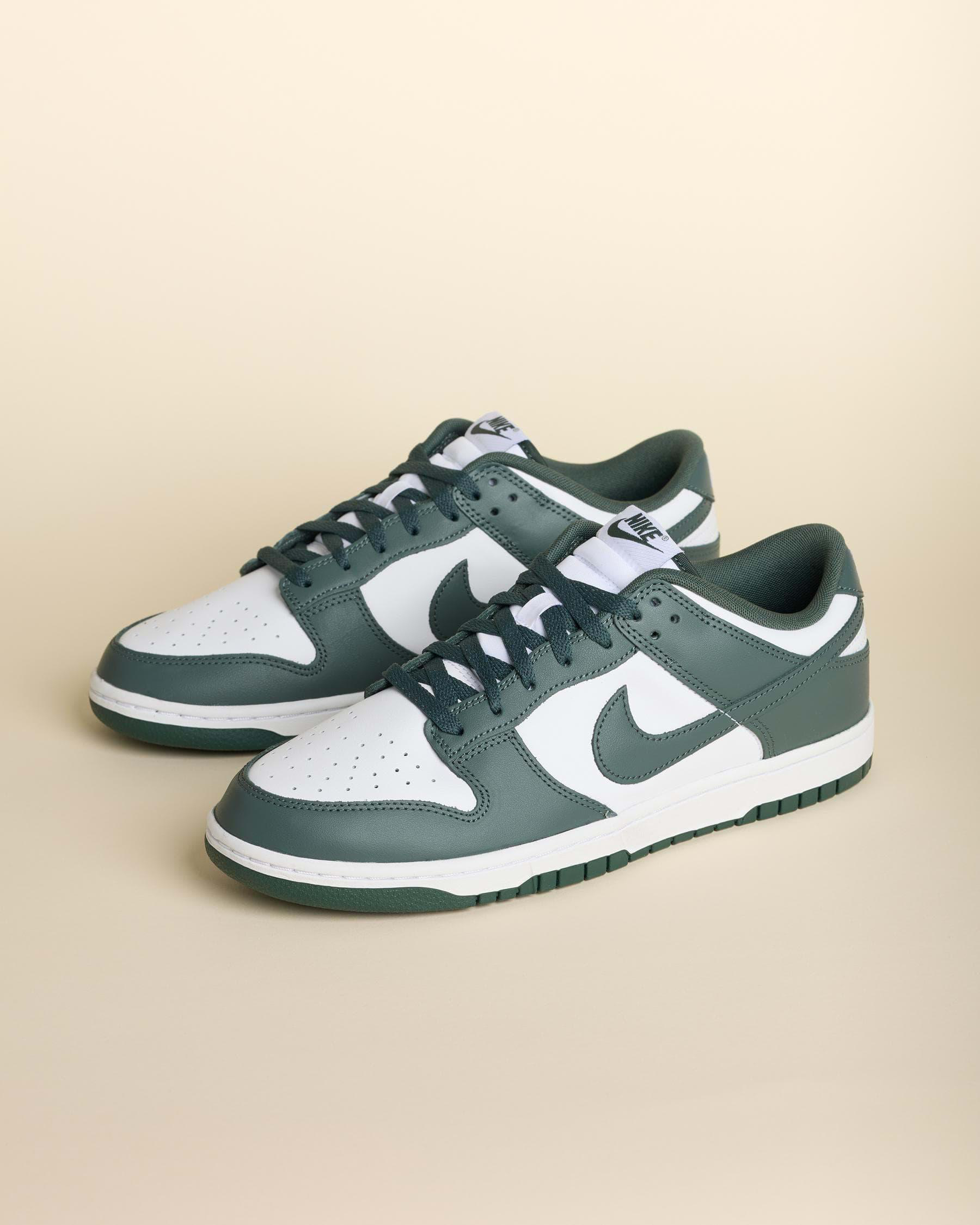 Dunk Low Retro Shoes