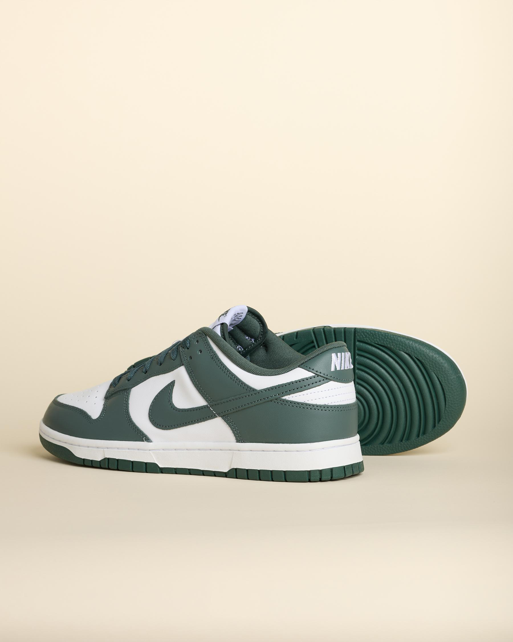 Dunk Low Retro Shoes