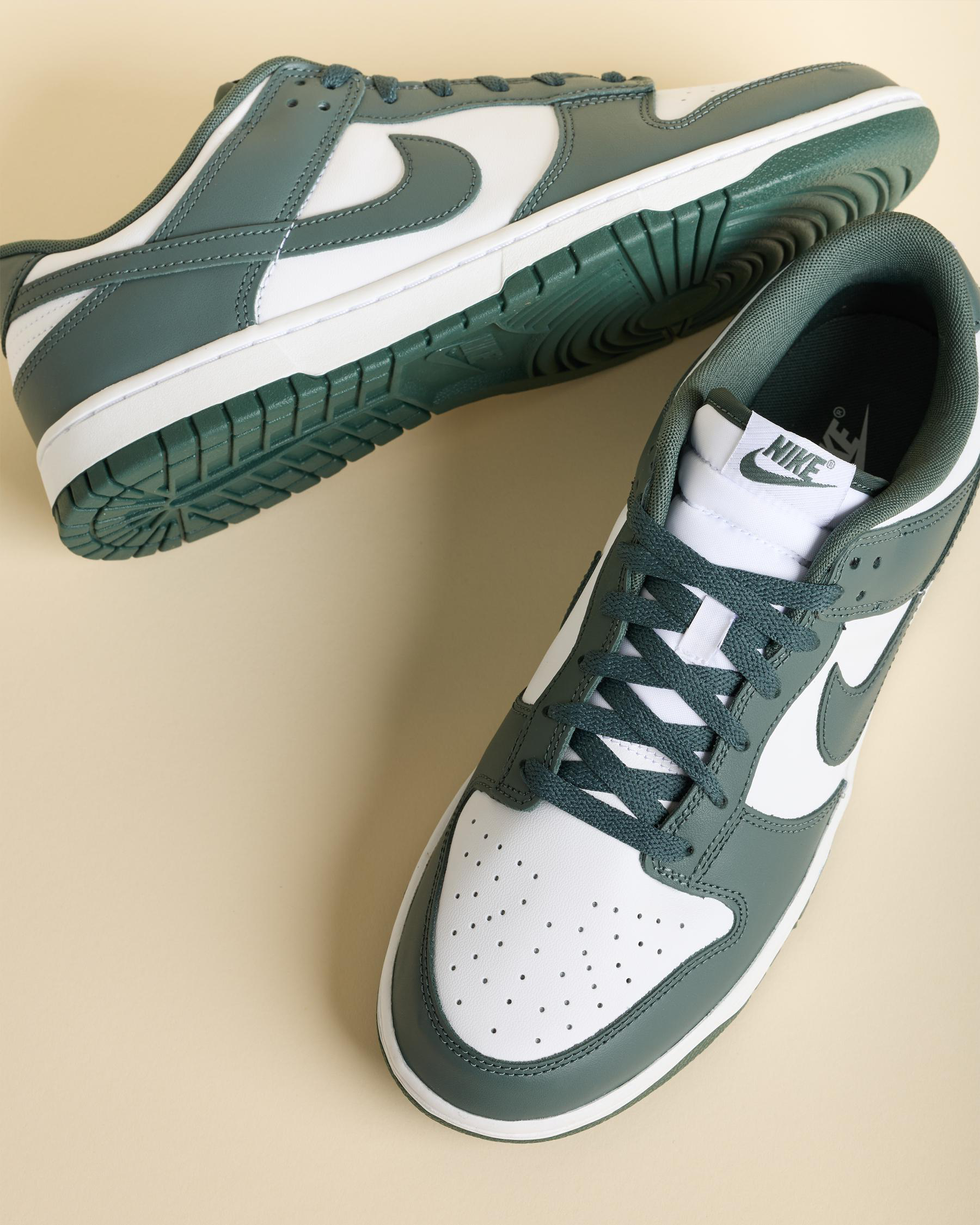 Dunk Low Retro Shoes